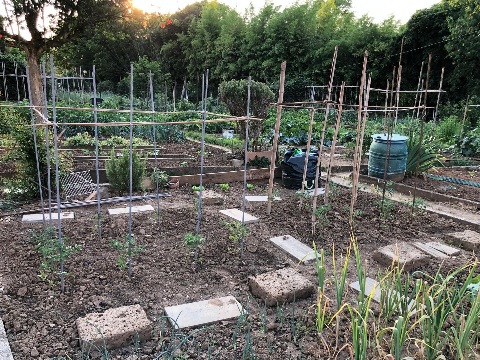 Preparare l'orto per l'inverno