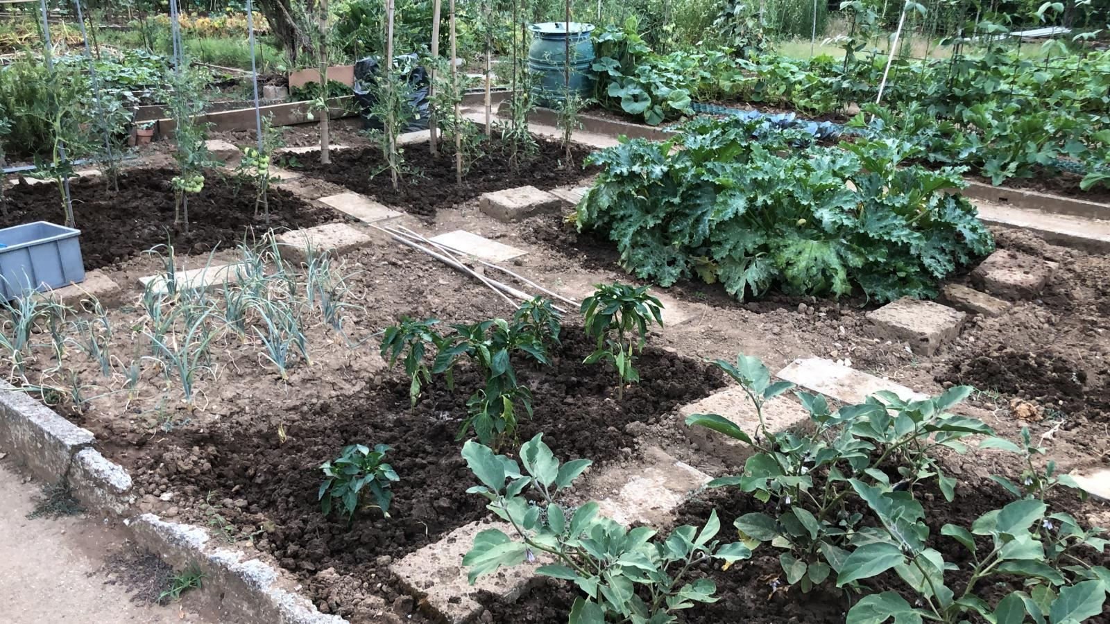 Preparare il terreno